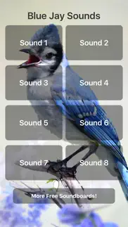 blue jay sounds iphone screenshot 1