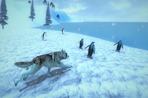 Arctic Wolf Sim 3D - Wild Animal Running Game screenshot 4