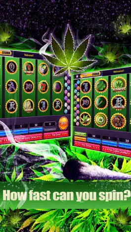 Game screenshot Dream of Weed Slot Machines – Free Slots & Casino apk