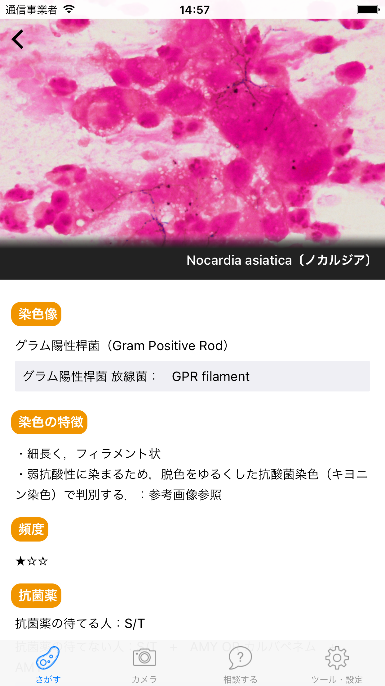 「グラレジ」グラム染色をアプリで学ぶ screenshot 3