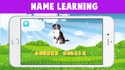 How to cancel & delete World Popular Dog Breeds Name Preschool Learning from iphone & ipad 2