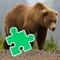 Bear puzzles for fans of the Bear