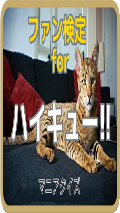ファン検定for ハイキュー マンガ アニメクイズ By Gisei Morimoto ファン検定for ハイキュー マンガ アニメクイズ By Gisei Morimoto
