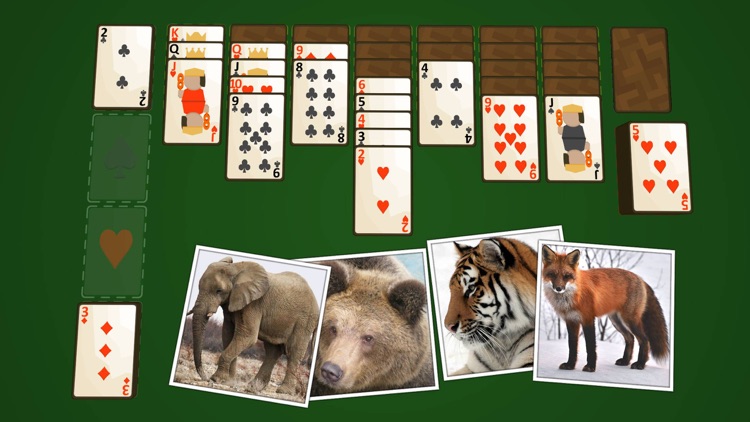 Solitaire Wild screenshot-3