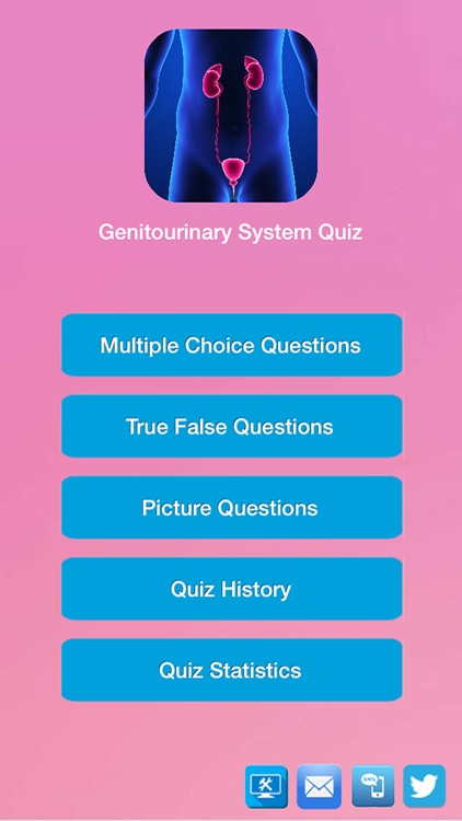 Human Urinary System Quiz