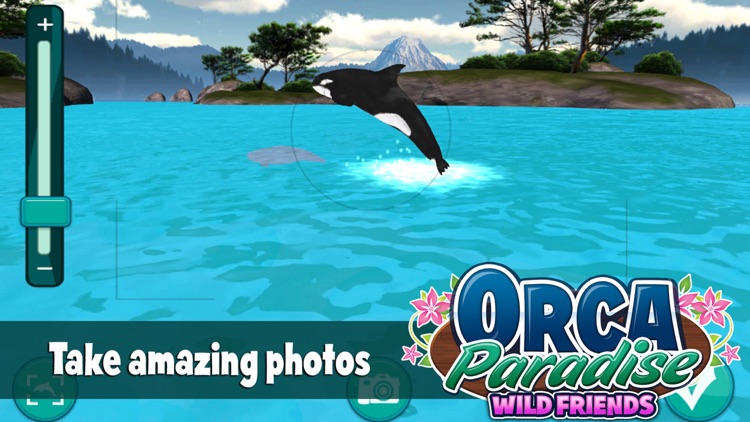 Orca Paradise: Wild Friends