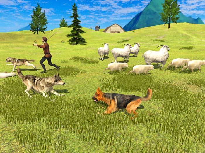 保護我的羊：牧羊犬