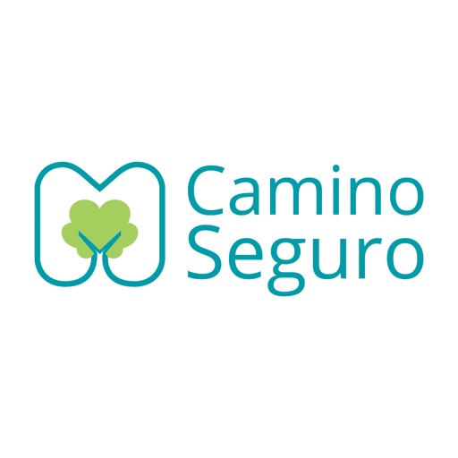 Camino Seguro