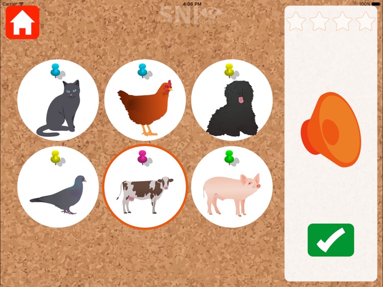 Környezetünk hangjai