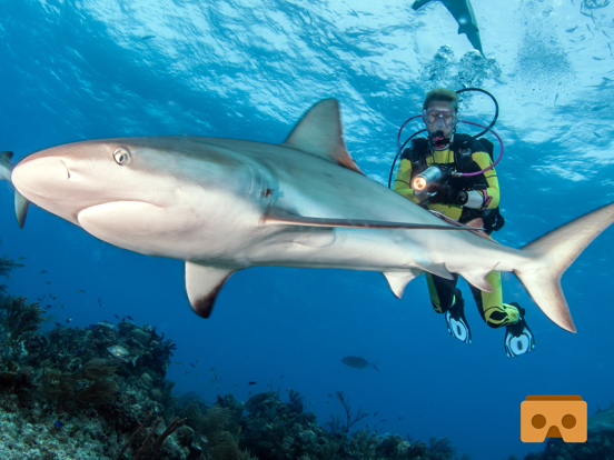 Screenshot #5 pour VR Scuba Diving with Google Cardboard ( VR Apps )