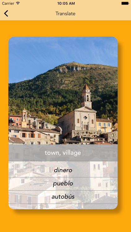 Spanish Vocabulary Flashcards Premium screenshot-4