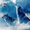 Arctic Wolf Sim 3D - Wild Animal Running Game