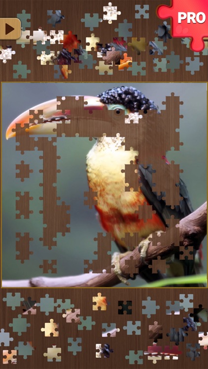 Jigsaw Puzzle Games PRO: Brain Training Jigsaws