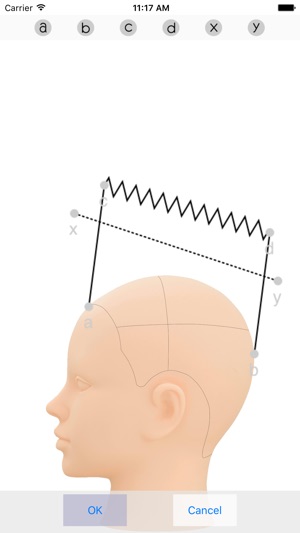 Hair Cut Diagram Light On The App Store