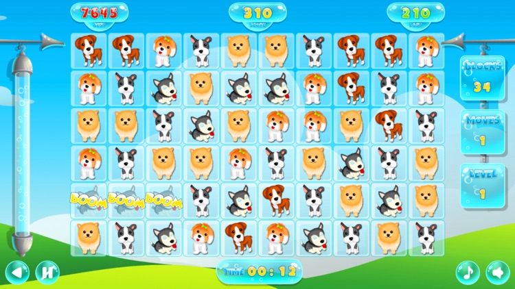 Pet Buddies Dog Family - Fun Match 3 Games