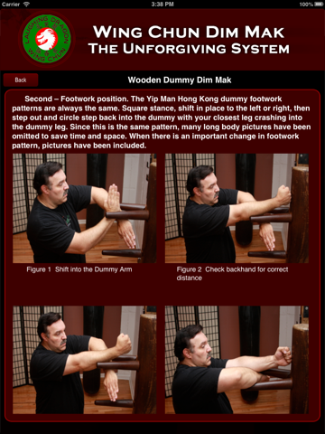 Wing Chun Dim Mak screenshot 4