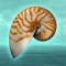 In this point and click, room-escape style adventure game, players are lost on the shores of a mysterious island