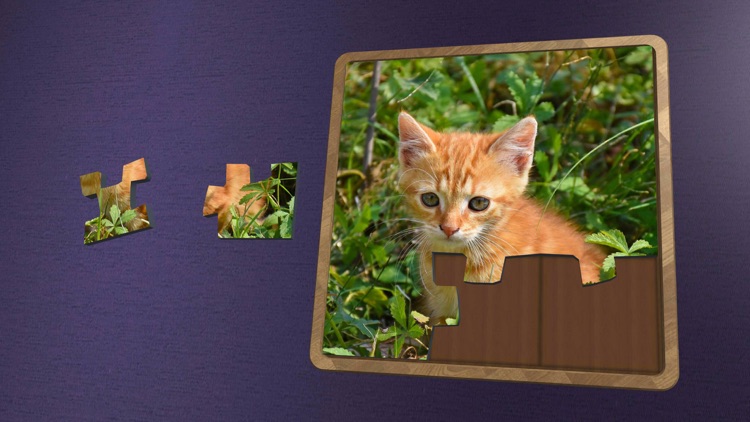 Super Jigsaws Baby Animals