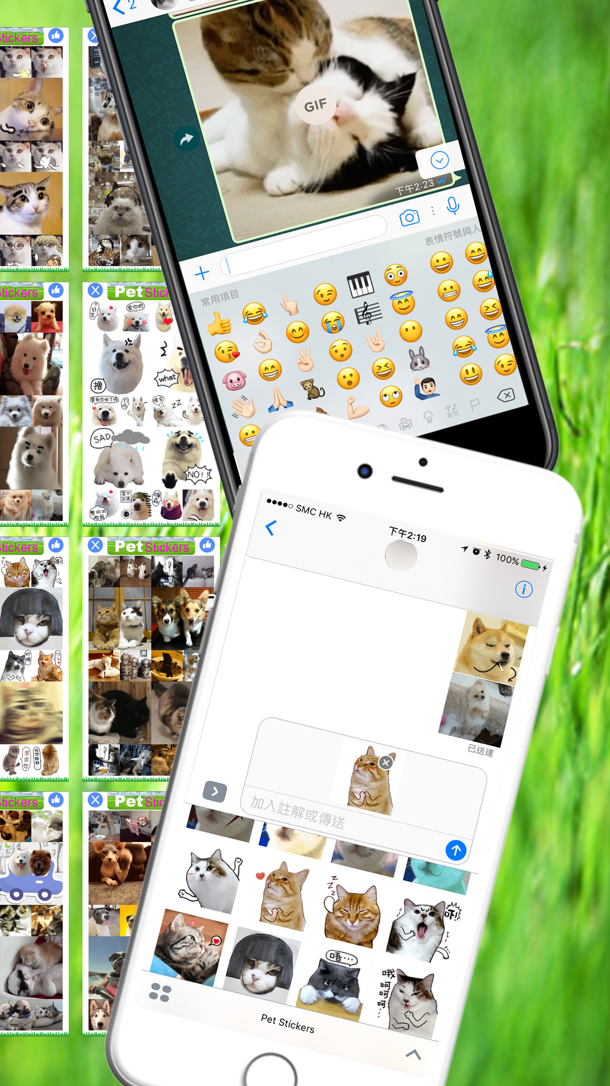 Pet Stickers - Cats & Dogs Animated Gif Stickers screenshot 6