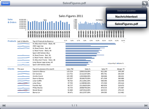 RMS Viewer - náhled