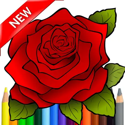 Adult Coloring Serene Rose For Stress Relieved Cheats