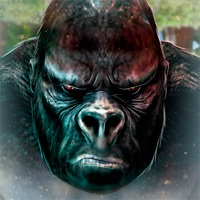 Monkey Kong The King of the Jungle