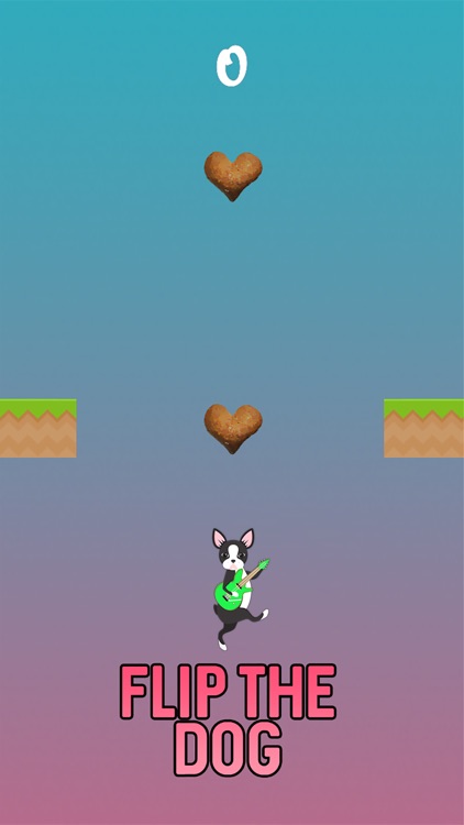 Boston Terrier Flip Tricks Challenge