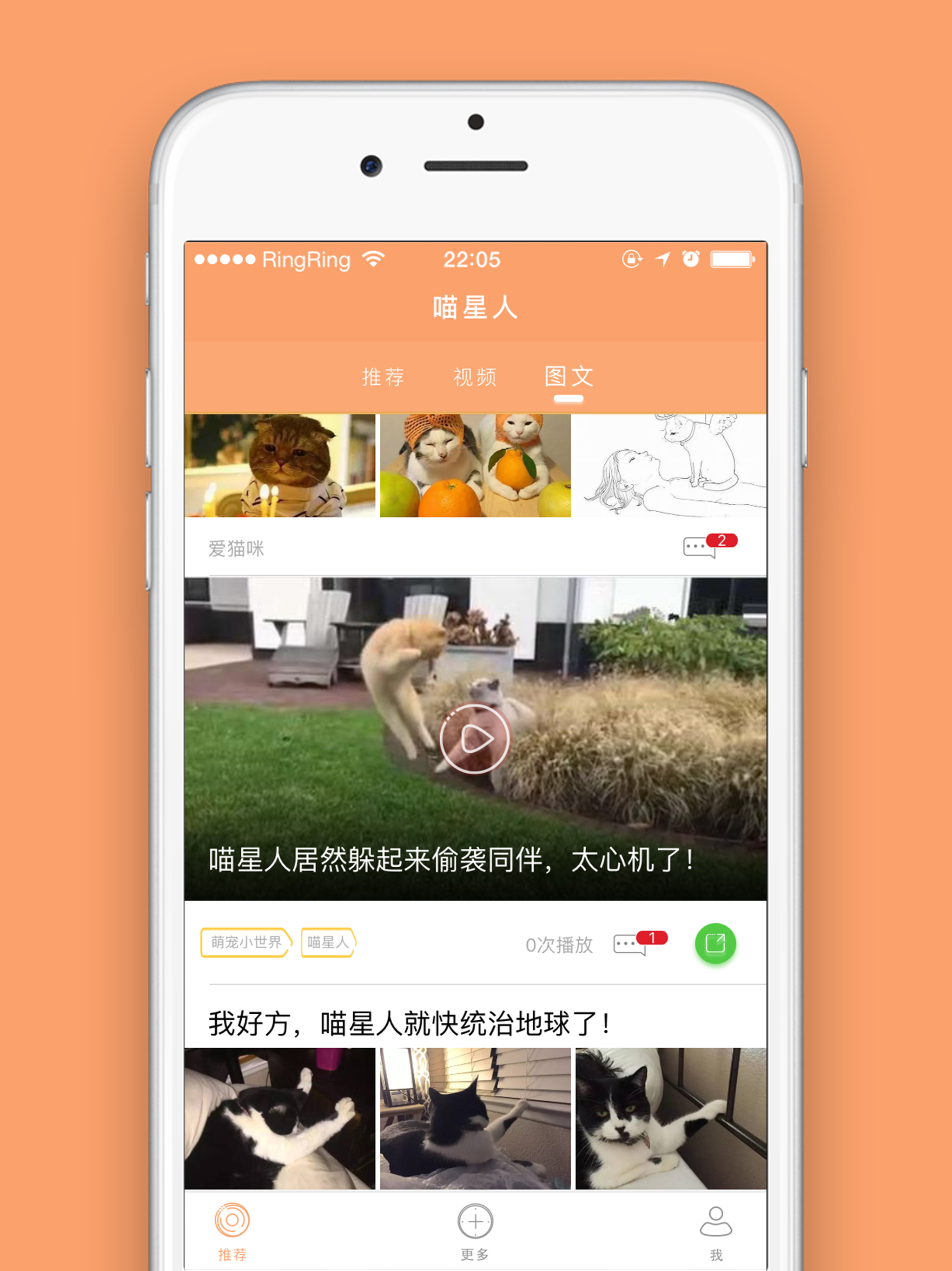 喵星人资讯 screenshot 8