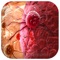 PRO - PLAGUE INC EVOLVED Game Version Guide