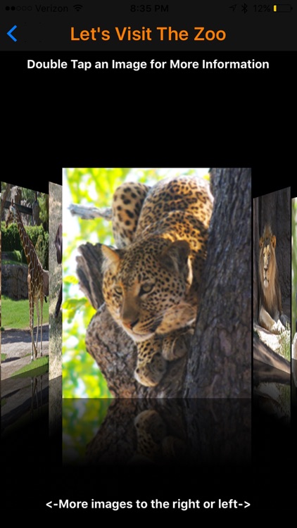 MyLittleWorld screenshot-3