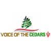 Voice Of The Cedars