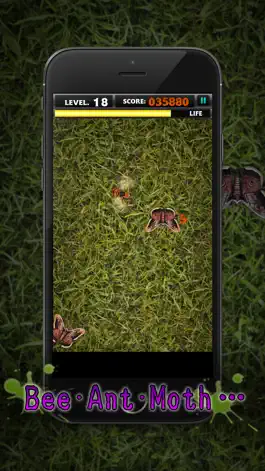 Game screenshot OMG!BUGMASHER hack