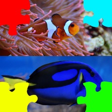 Activities of Jigsaw Puzzles for Clownfish and Friends