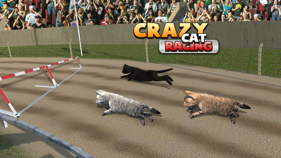 #5. Cat Racing Free Game (iOS) 由: Atif Mumtaz