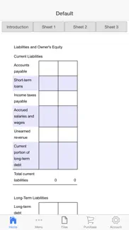 balance sheet iphone screenshot 3