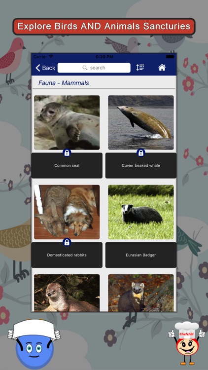 Explore United Kingdom Guide screenshot-4