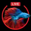 Aquarium Live HD Wallpapers for Lock Screen contact information