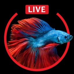 Aquarium Live HD Wallpapers for Lock Screen