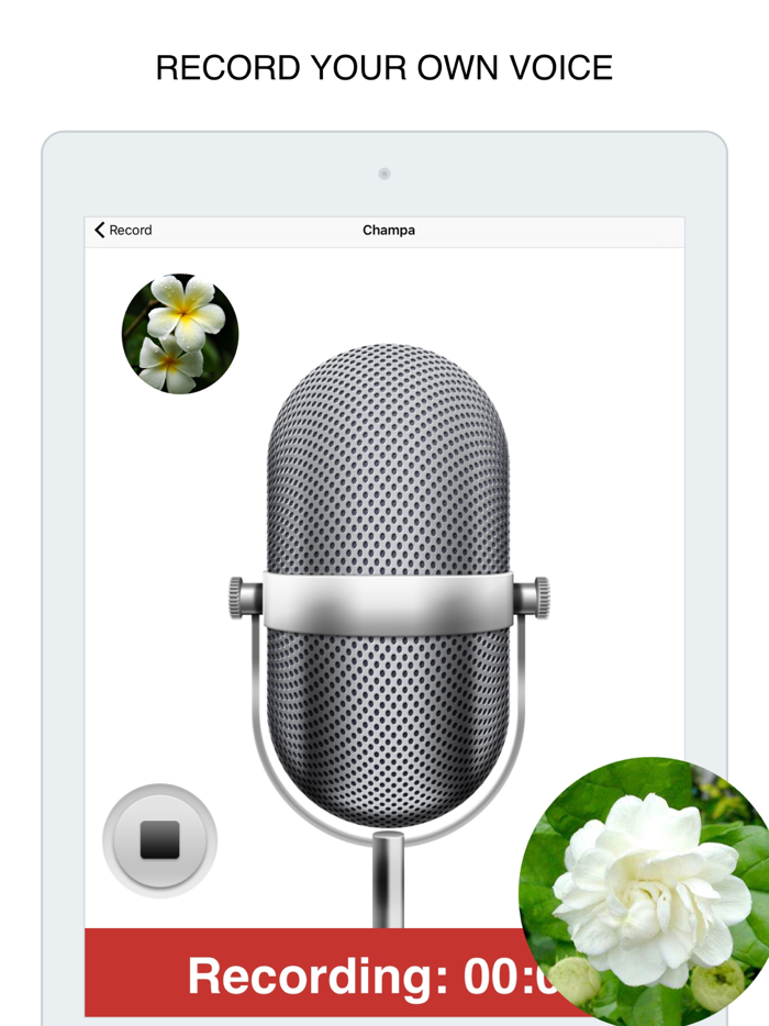 Flowers Flashcard for babies and preschool