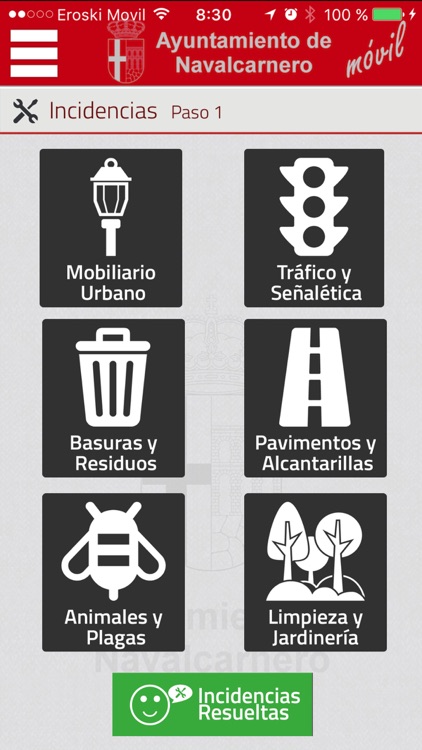 Ayuntamiento de Navalcarnero screenshot-4