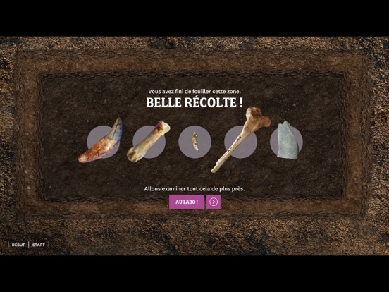 Screenshot #6 pour Zone de fouilles