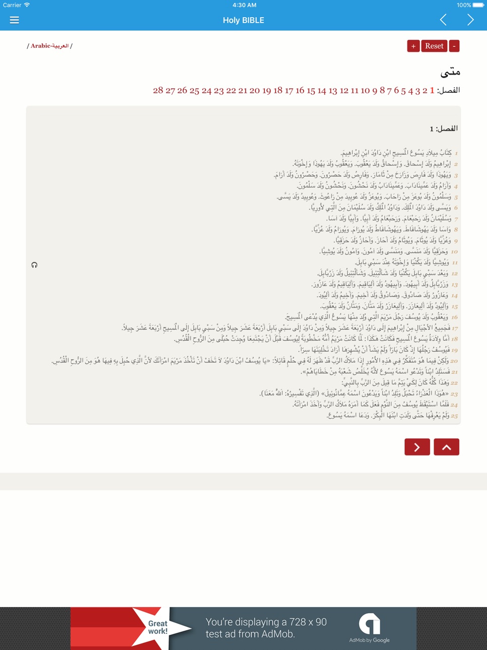 iPad screenshot