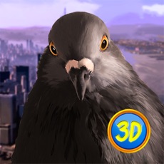 Activities of Pigeon Simulator: Town Bird Full