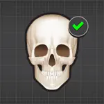 Human Skeleton: Bones for beginners App Contact