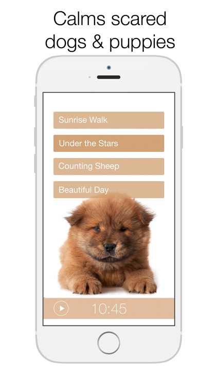 Dog Dreams - relax together with your dog
