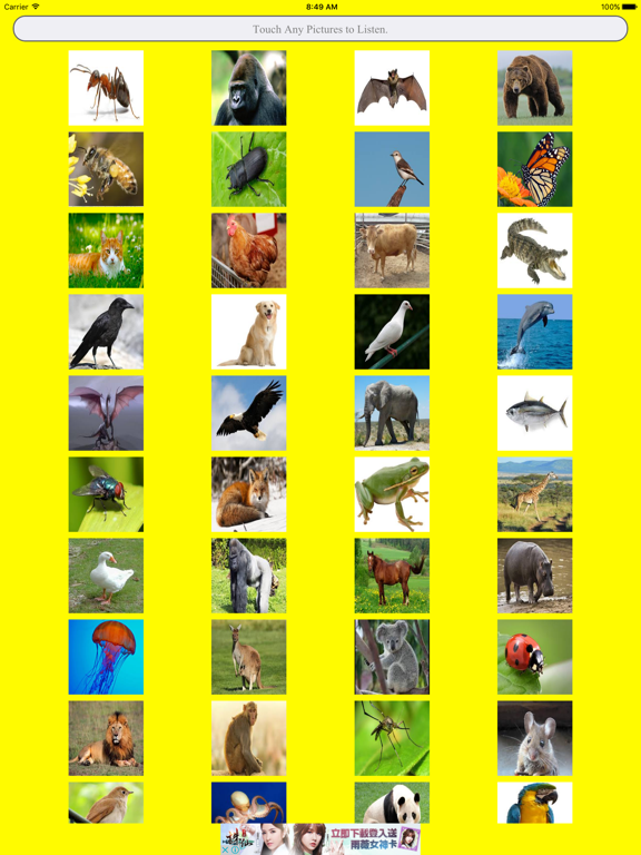 Screenshot #4 pour 認識動物集