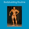 Bodybuilding routine