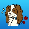 Cavalier King Charles Spaniel Affectionate Dog