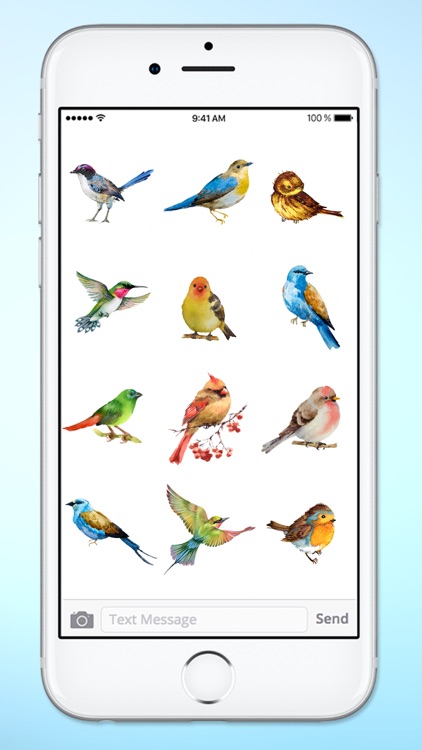 Watercolor Birds Sticker Pack screenshot-4