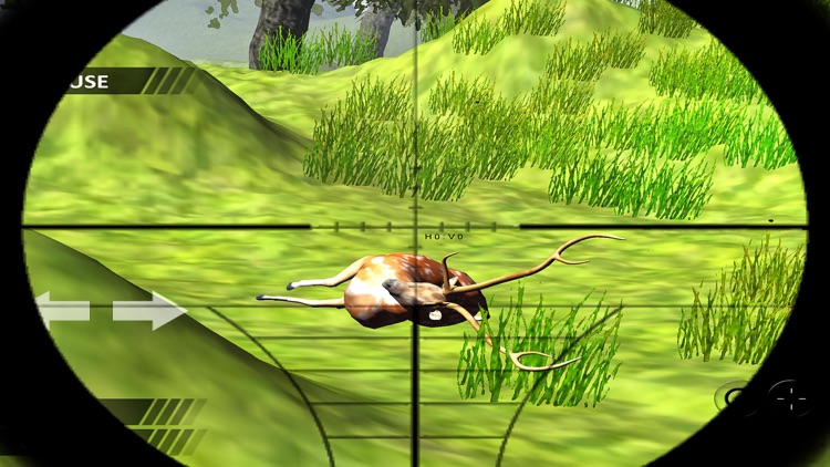 Animal Hunting Jungle Safari screenshot-4